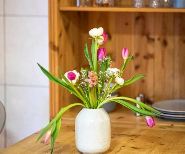 Nordberg Apartmán *